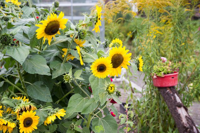 a2014_09_11_1465