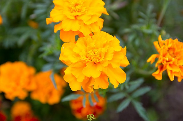 a2014_09_11_1473