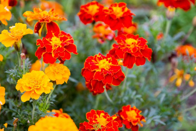 a2014_09_11_1474