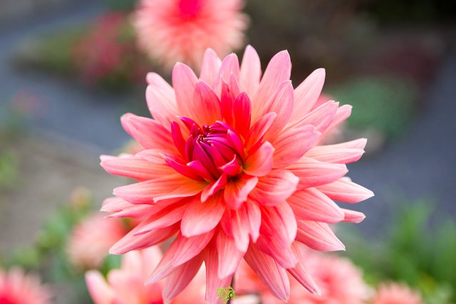 a2014_09_11_1477