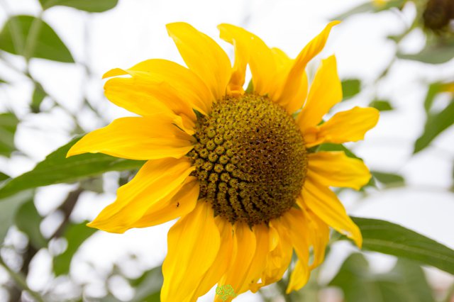 a2014_09_11_1480