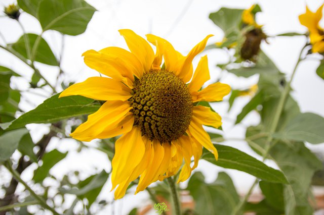 a2014_09_11_1481