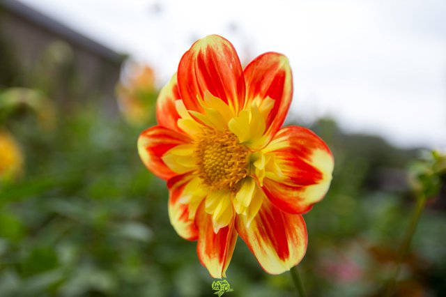 a2014_09_11_1482