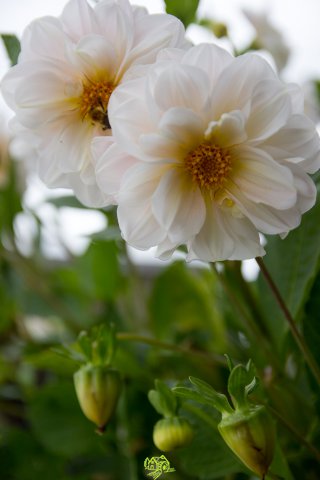 a2014_09_11_1484