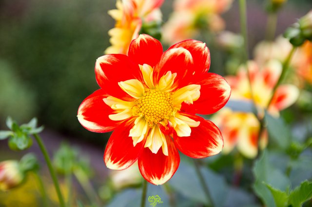 a2014_09_11_1488