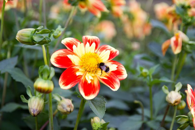 a2014_09_11_1489