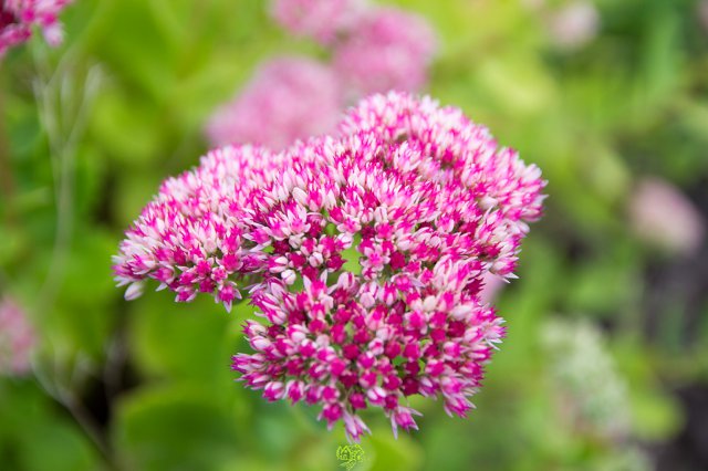 a2014_09_11_1493