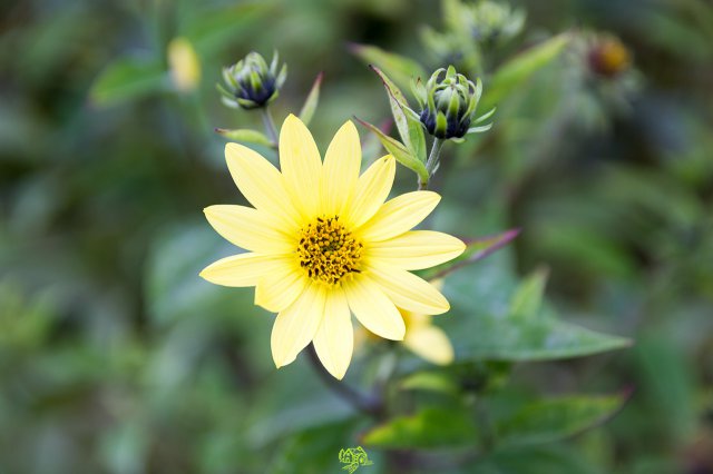 a2014_09_11_1494