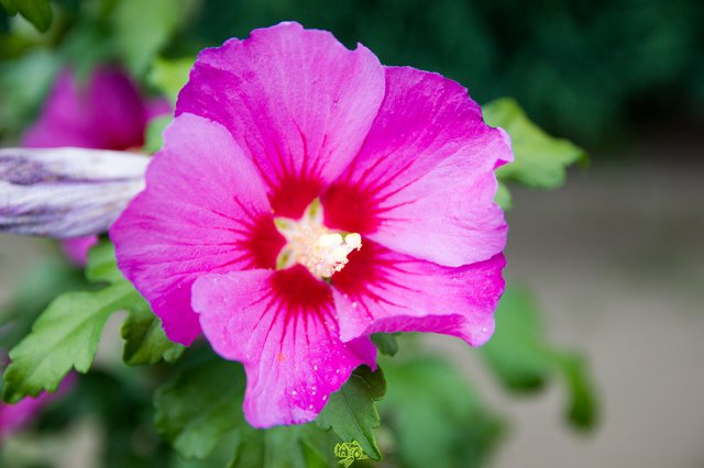a2014_09_11_1496