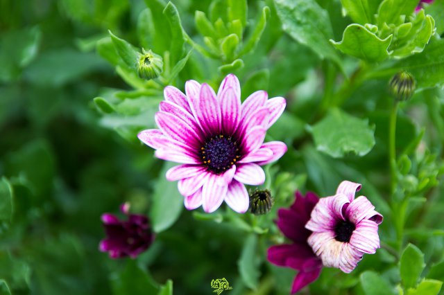 a2014_09_11_1500