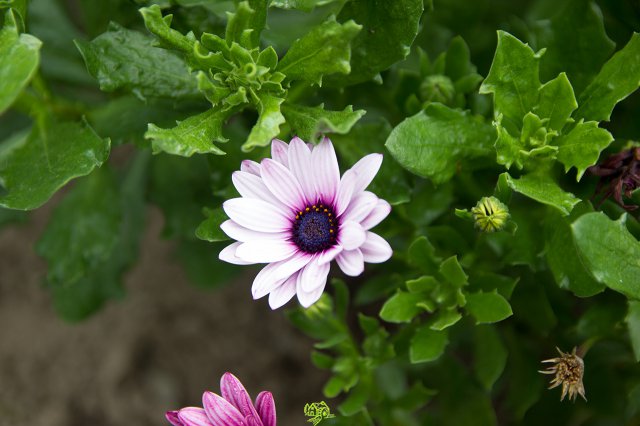 a2014_09_11_1501