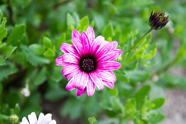 a2014_09_11_1502