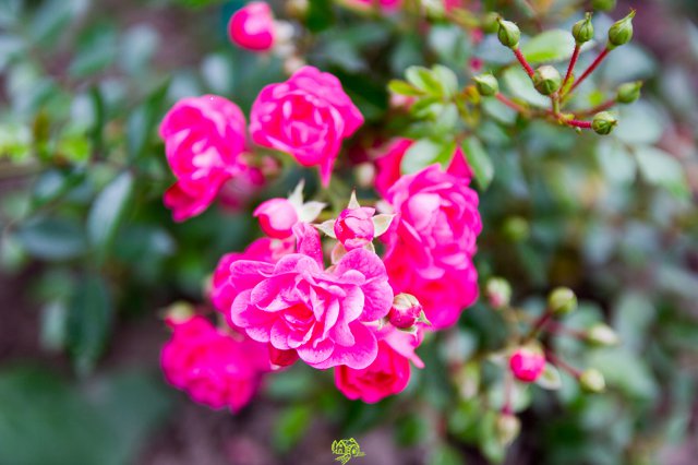 a2014_09_11_1504