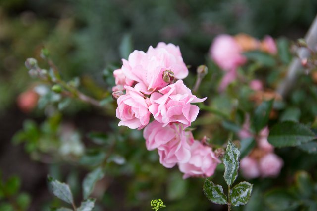 a2014_09_11_1505
