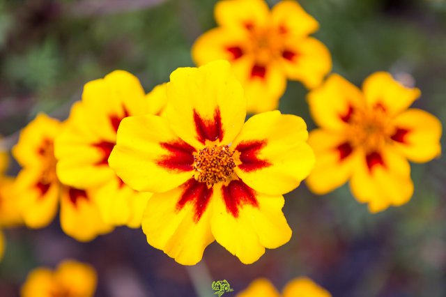 a2014_09_11_1511