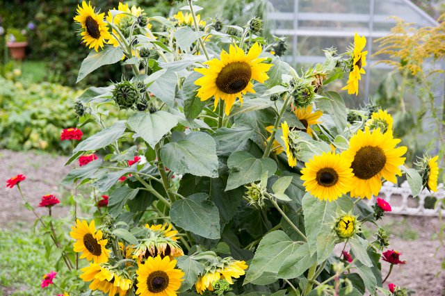 a2014_09_11_1526