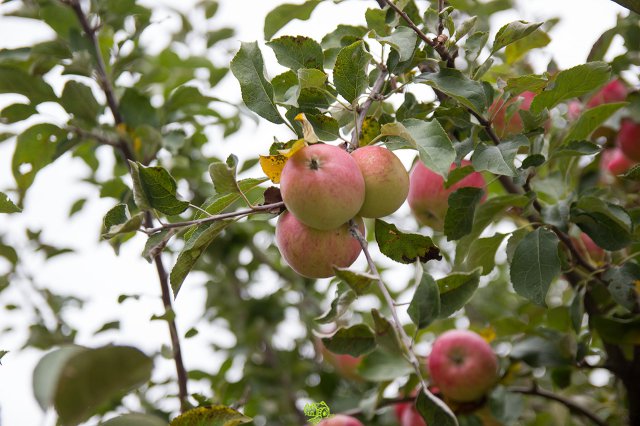 a2014_09_11_1529